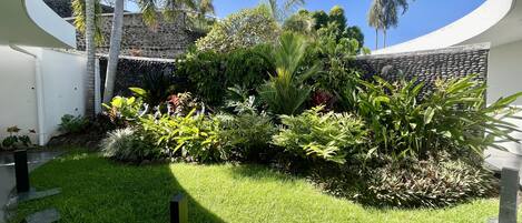 A well-maintained garden with various plants and a stone wall.