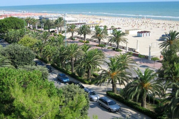 A coastal road lined with palm trees and parked cars, leading to a beach with a large crowd.