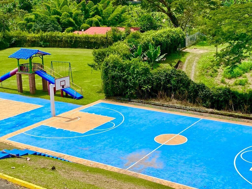 basketball court