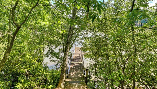 A wooden staircase surrounded by lush green foliage leading to a higher level. - Charming Abbeville Home w/ Private Boat Dock! (Abbeville)