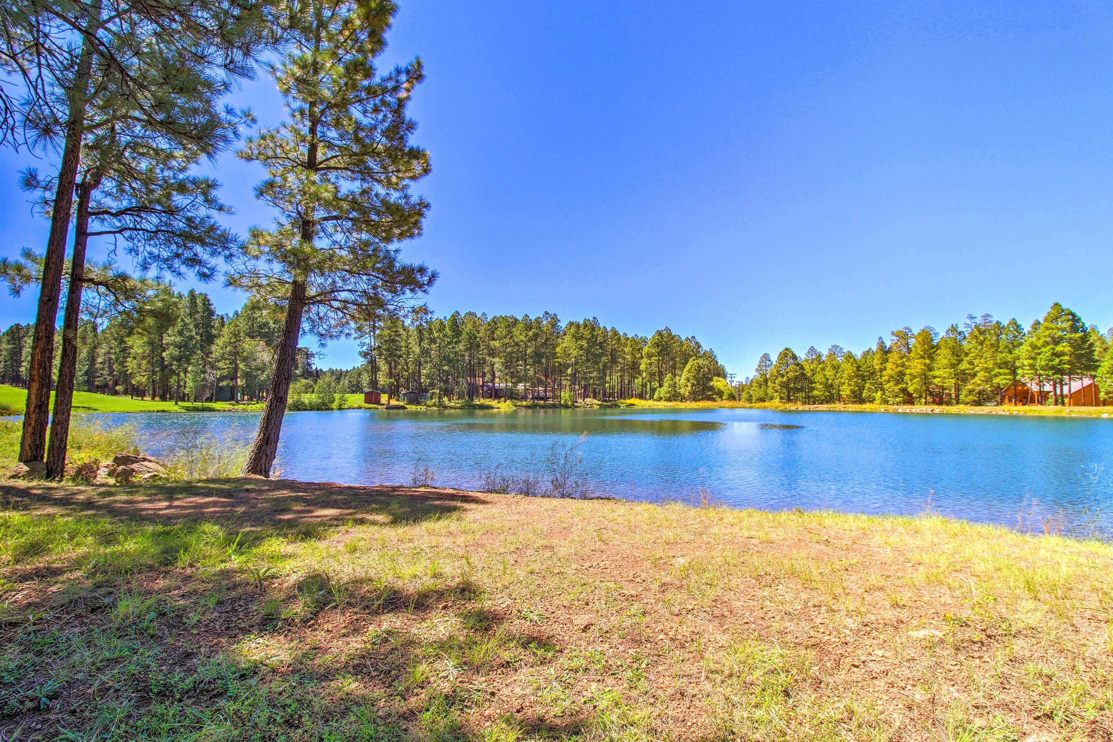 A serene lakeside view with a clear sky, surrounded by dense pine trees and a grassy area.