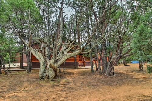 Fire Pit, Fenced Yard: Overgaard Cabin Near Hiking