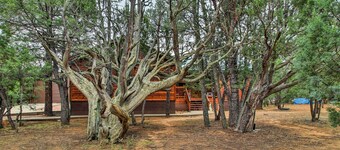 Fire Pit, Fenced Yard: Overgaard Cabin Near Hiking