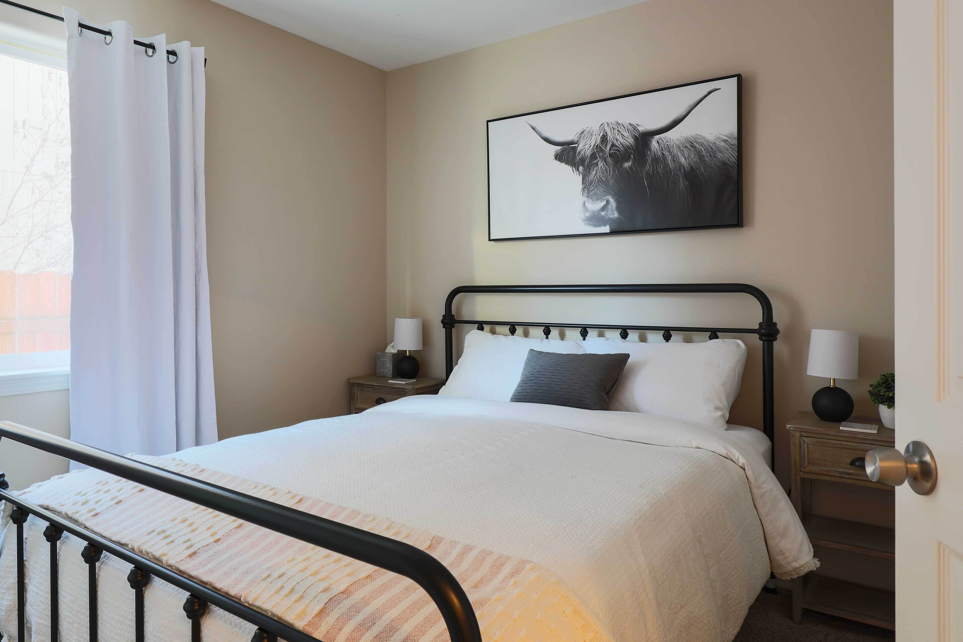 A neatly made bed with a white comforter and pillows, a black metal headboard, bedside tables with lamps, and a framed picture of a bull on the wall.