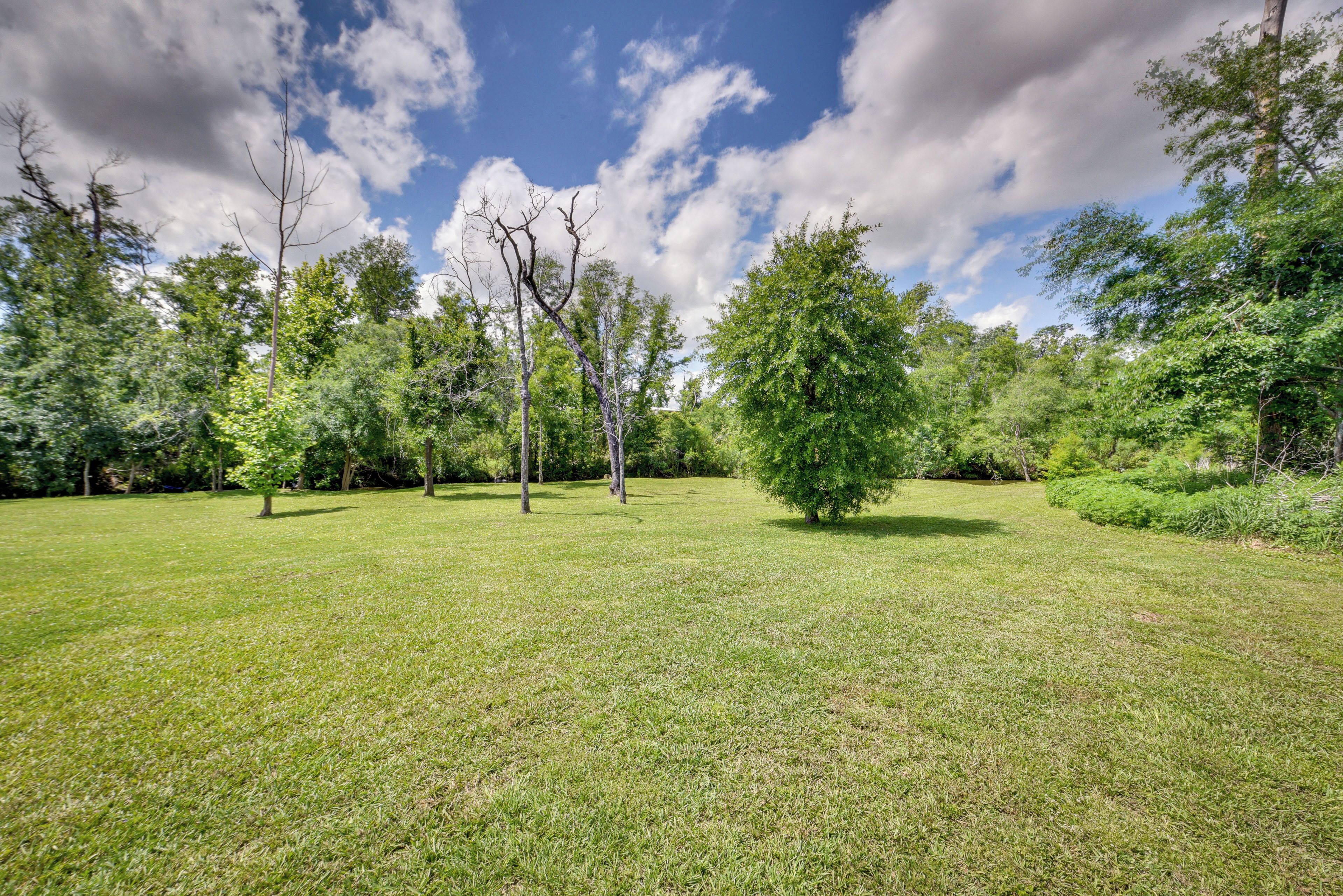 A grassy park with trees and a clear sky.