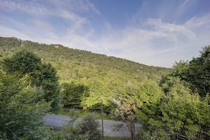 A natural landscape with a hill, dense greenery, and a body of water. - Ski, Hike & Relax: Beech Mtn Gem w/ Sweeping Views (Banner Elk)