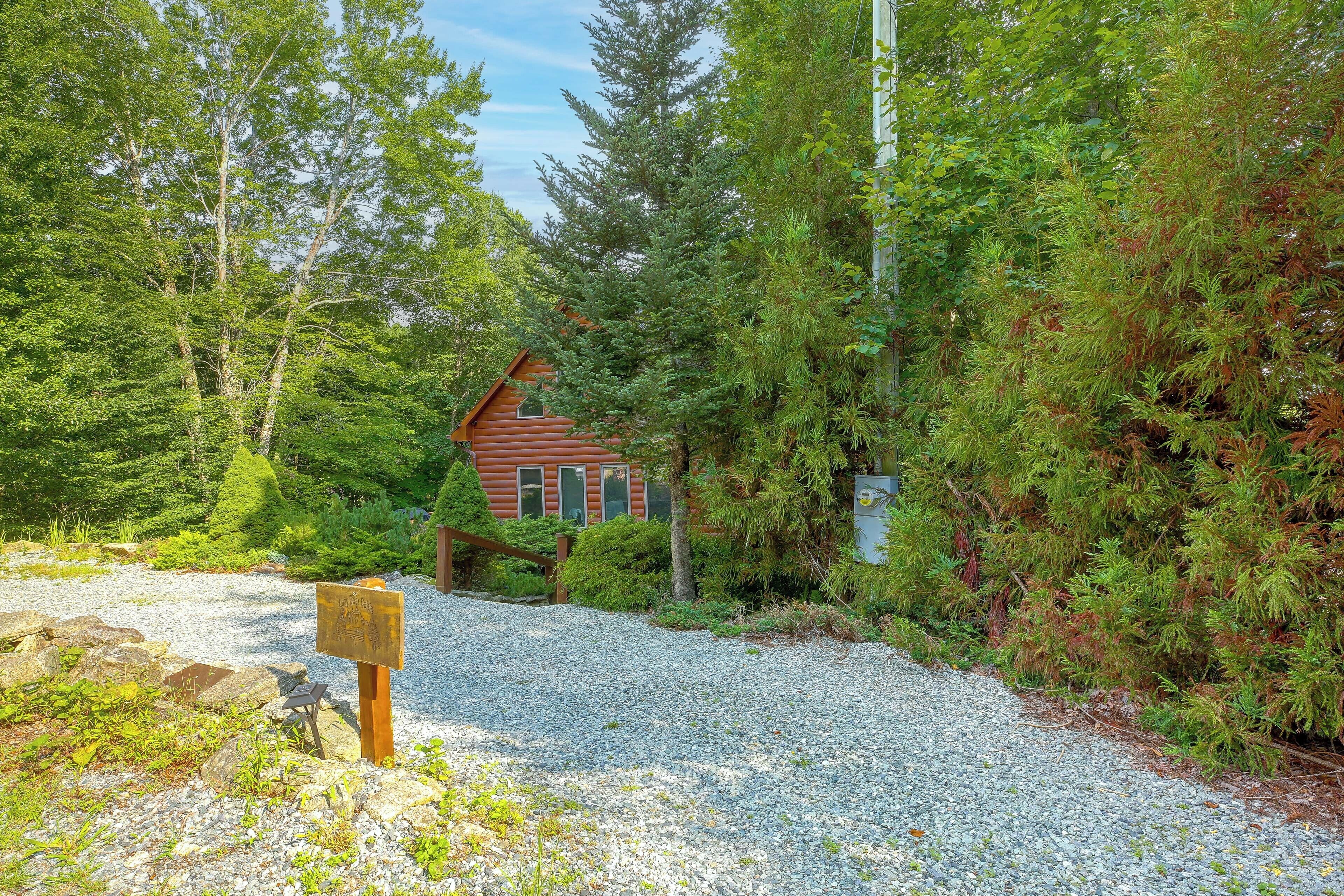 A cabin surrounded by dense forest with a gravel path leading to it.