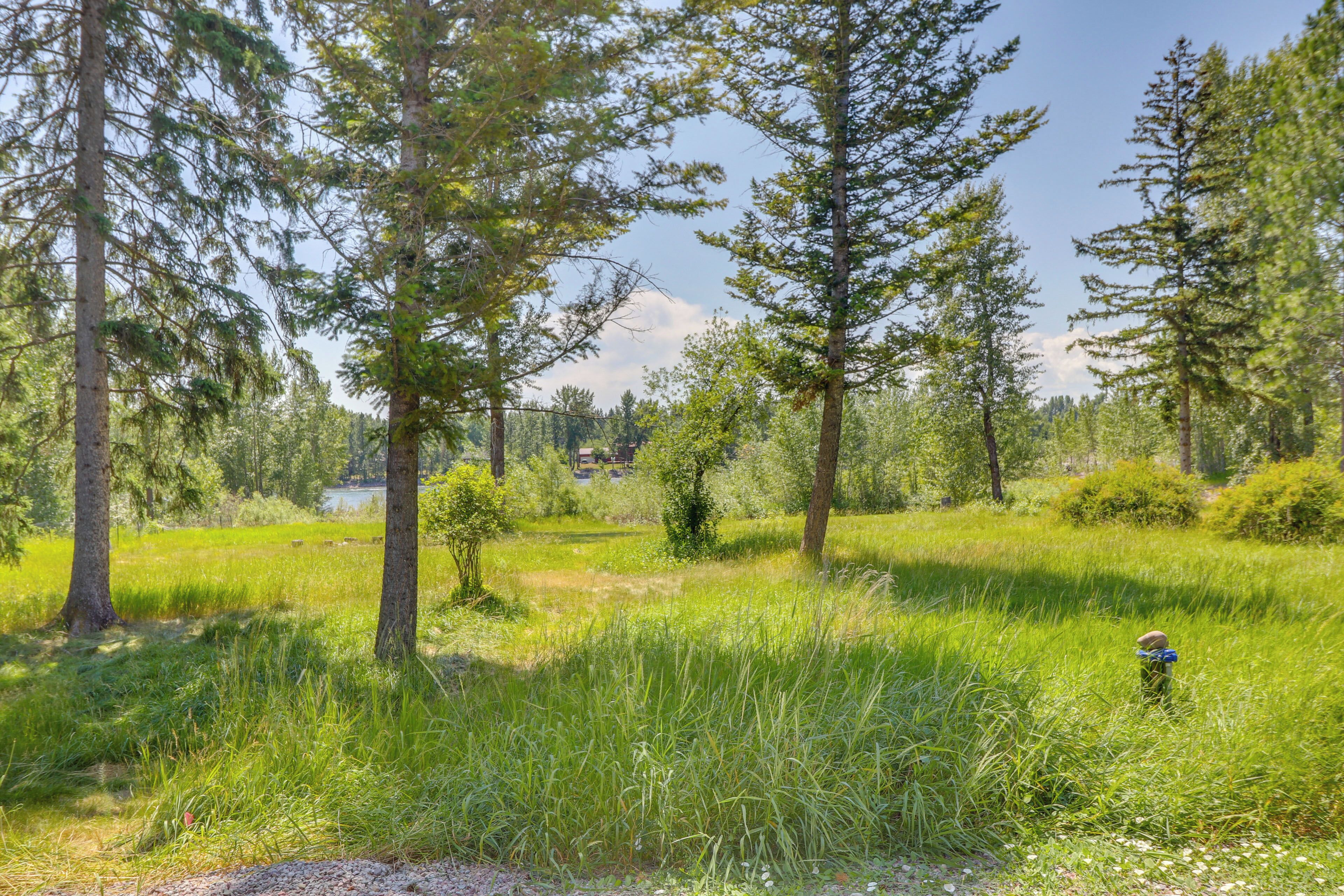 A natural landscape with tall trees and a clear sky.