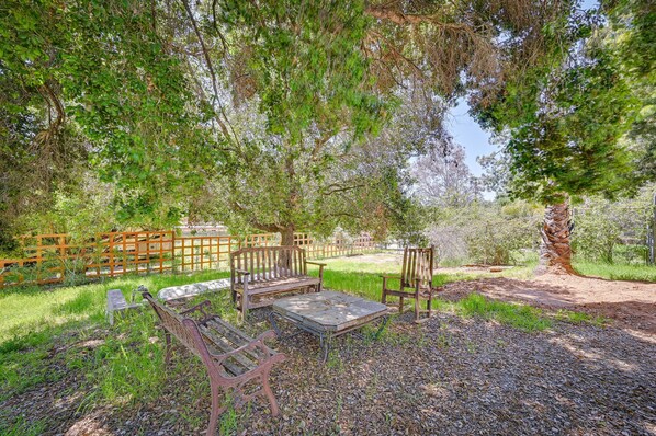 Un espace extérieur aménagé avec des bancs et une table, entouré d’arbres et d’une clôture en bois.