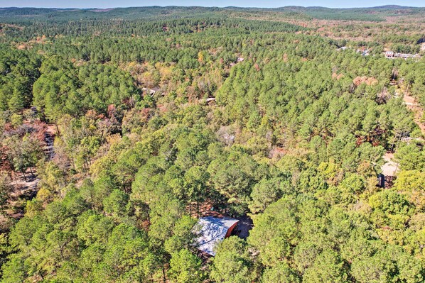 Une zone boisée avec un chalet entouré d’arbres.