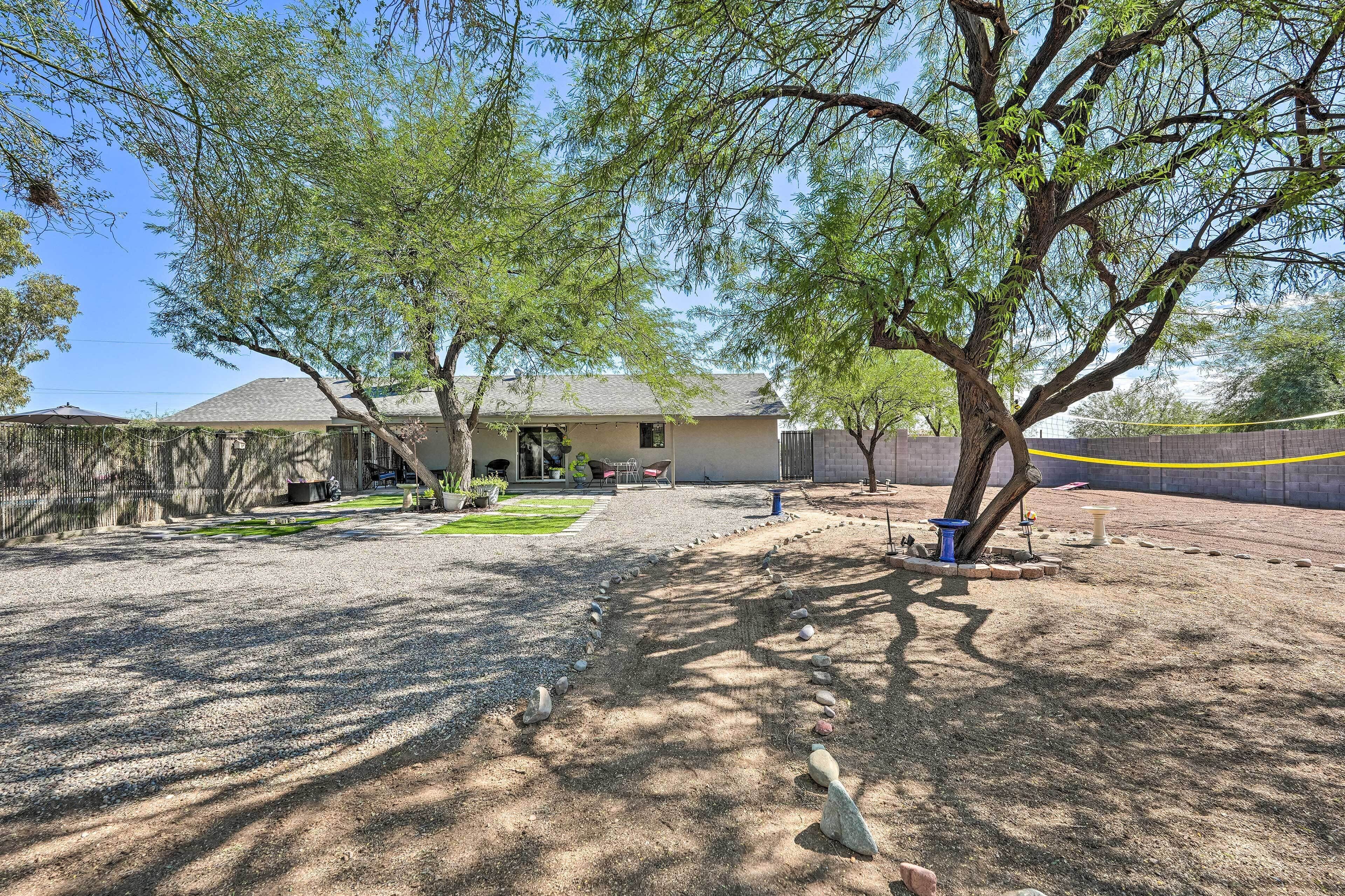 A backyard with a house, a tree, and a fenced area.