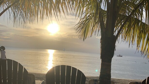 A beach scene with a palm tree, sun, and chairs. - Seacret Studios - Cozy Jamaican Retreat Apts by RedAwning (Negril)