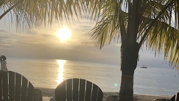 Studio | Property grounds