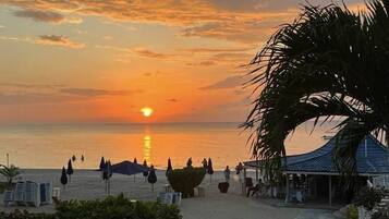 Studio | Property grounds