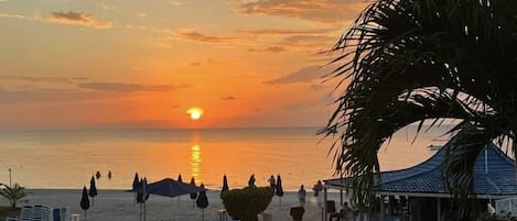 Studio | Property grounds