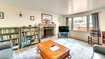 TV, fireplace, books