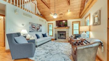 TV, fireplace, books