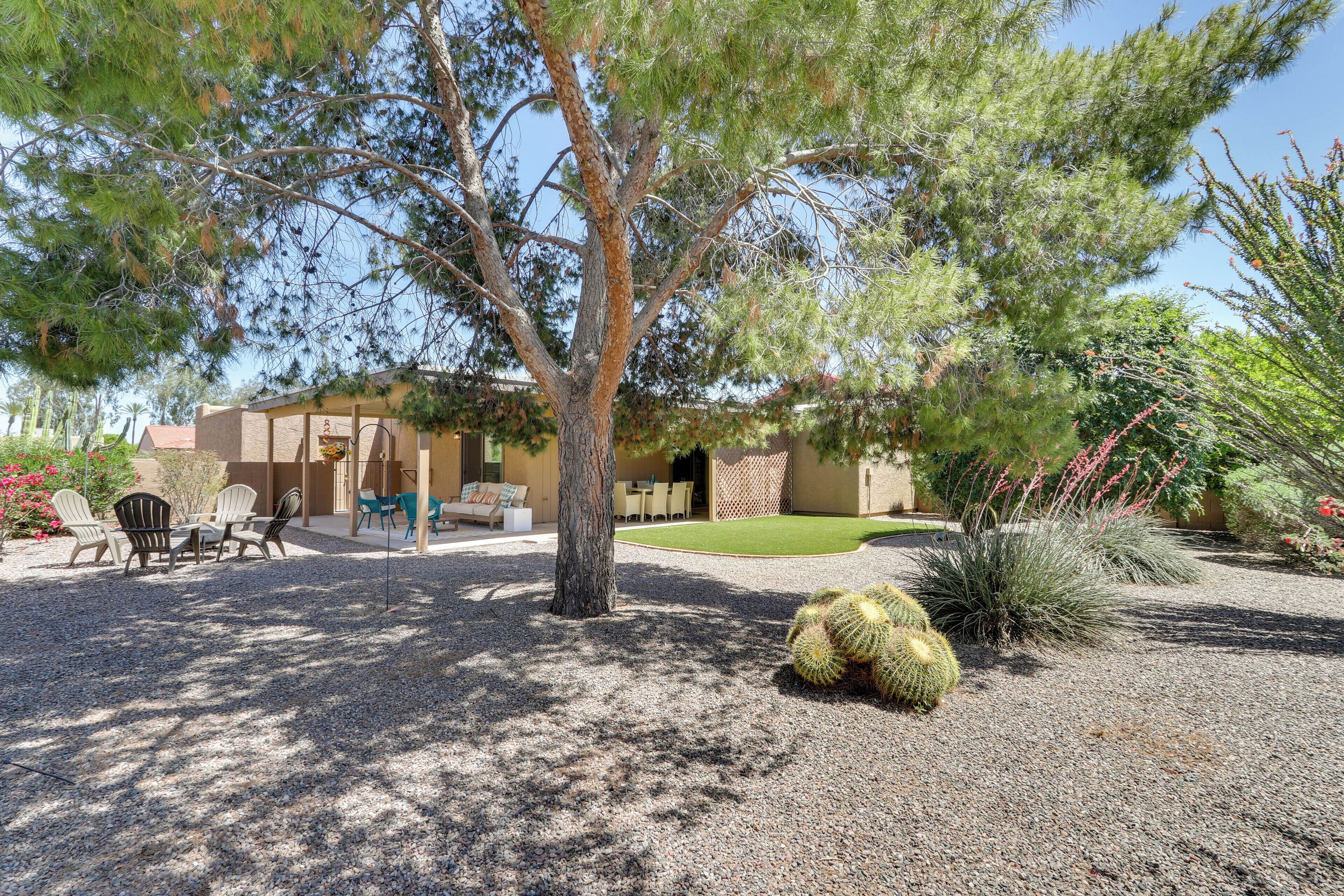 A patio area with outdoor seating, a tree, and a cactus.