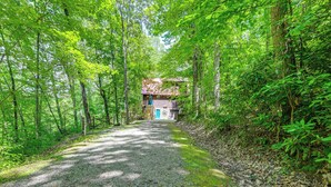 A gravel path leading to a rustic cabin surrounded by dense green foliage. - Mountain-view Robbinsville Cabin w/ Hot Tub! (Robbinsville)