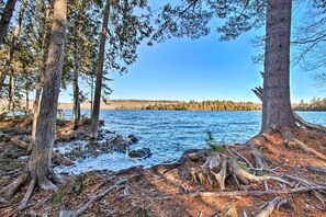 A forested lakeside area with trees and a clear view of the water.