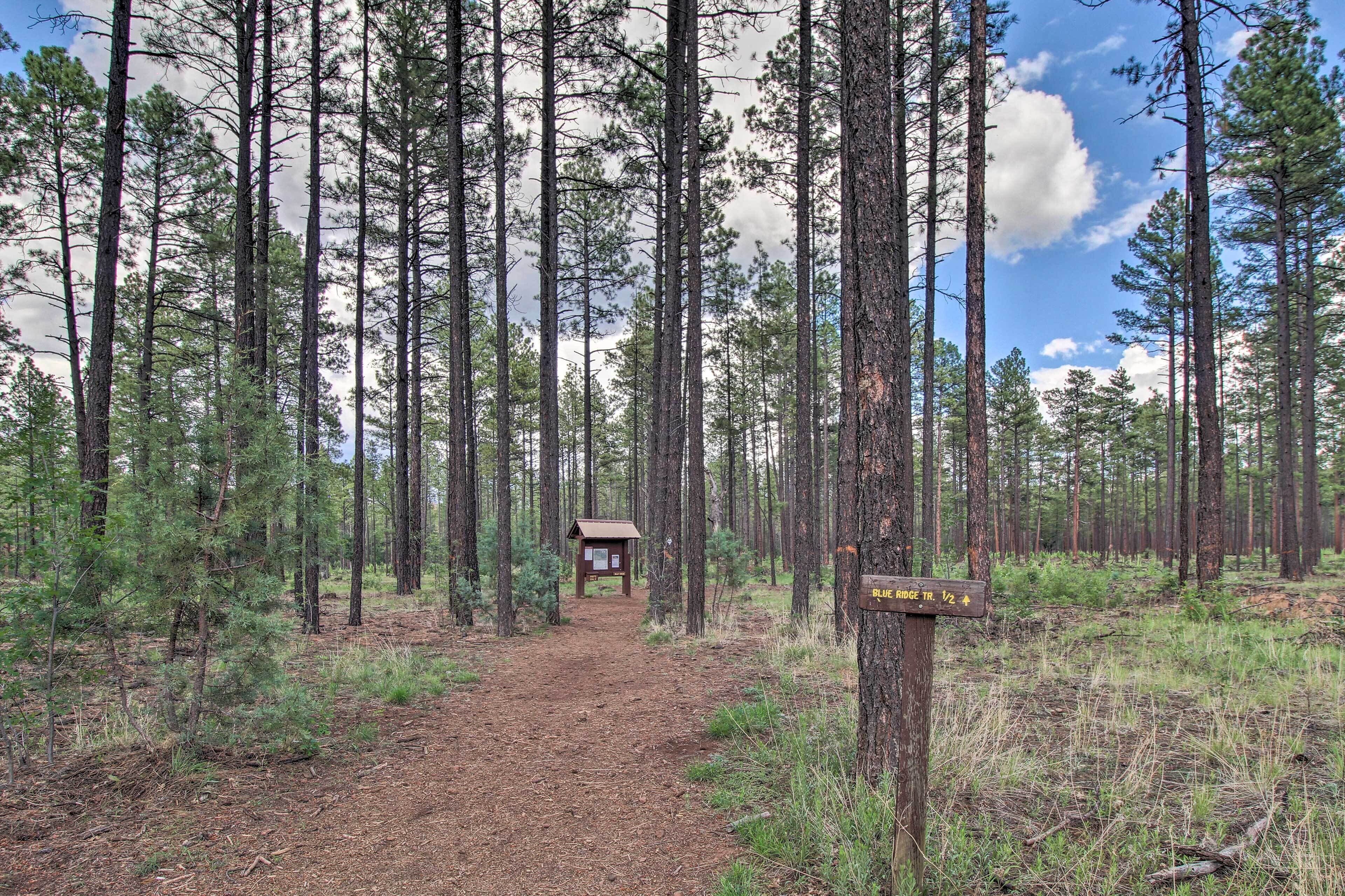 Sendero boscoso con un refugio de madera y un cartel que indica 'Blue Ridge Trail 1/2'.
