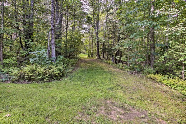 A forested path with dense trees and underbrush. - Readfield Retreat w/ Lake Maranacook Views! (Readfield)