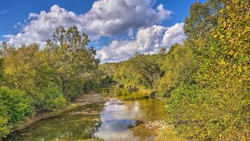A river surrounded by dense foliage and trees.