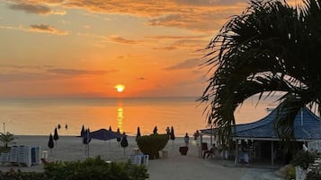 Studio | Property grounds