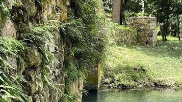 Studio | Property grounds