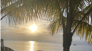 A beach scene with a palm tree, a wooden chair, and a table under the sun.