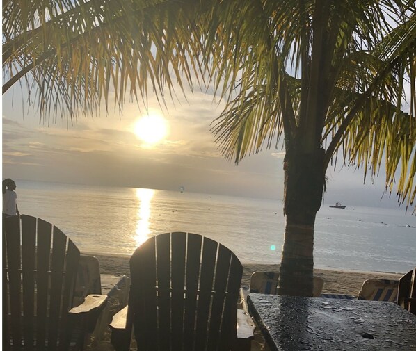 Studio | Terrain de l’hébergement 