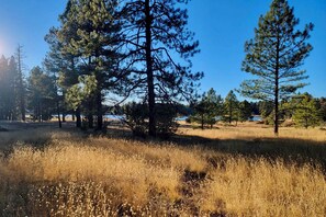 Interior - A-frame Munds Park Retreat: 35 Miles to Snowbowl (Munds Park)