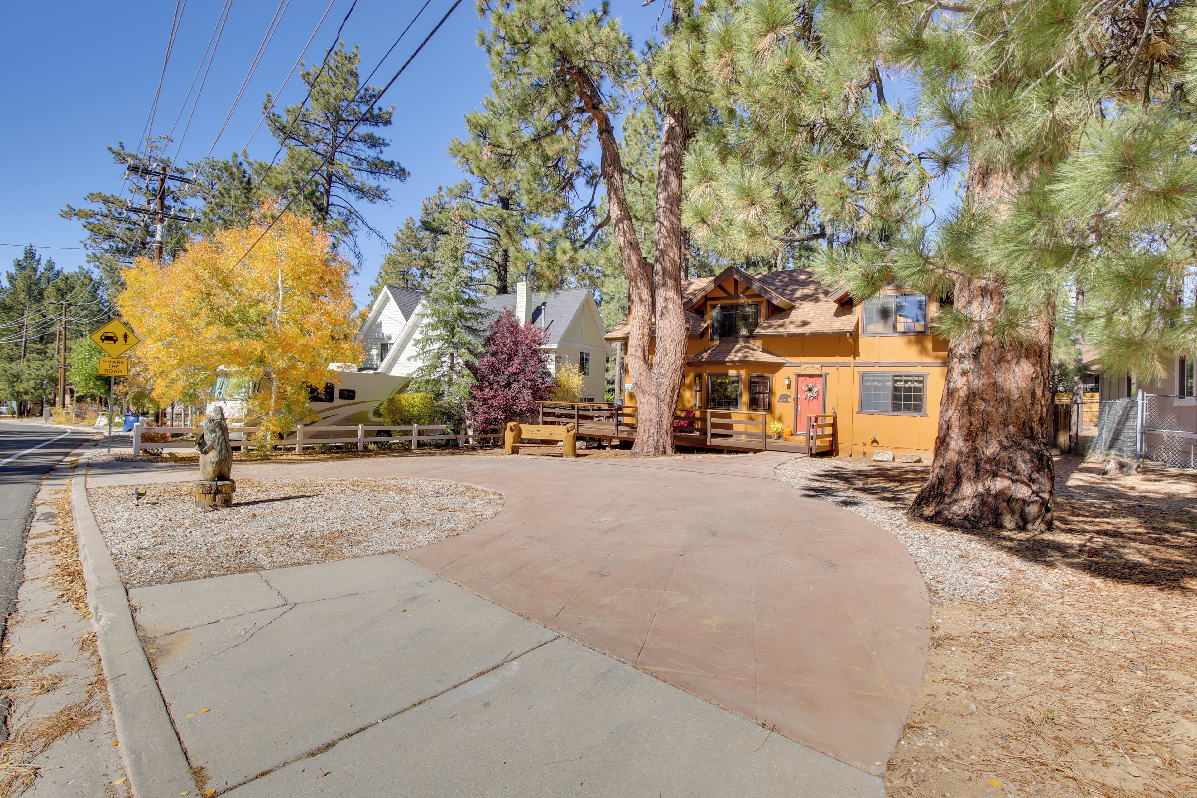 A paved driveway leading to a yellow building with a large tree in front.
