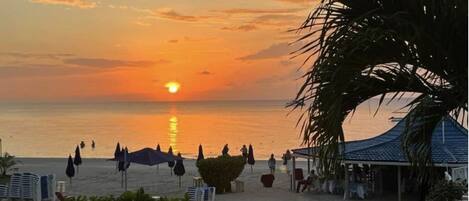 Estudio | Áreas de la propiedad