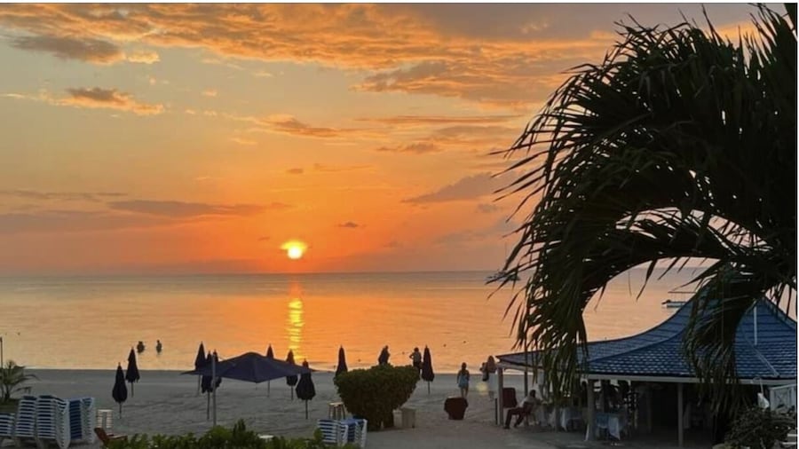 Seacret Studios - Cozy Jamaican Retreat Apts by RedAwning