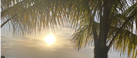 스튜디오 | 숙박 시설 구내