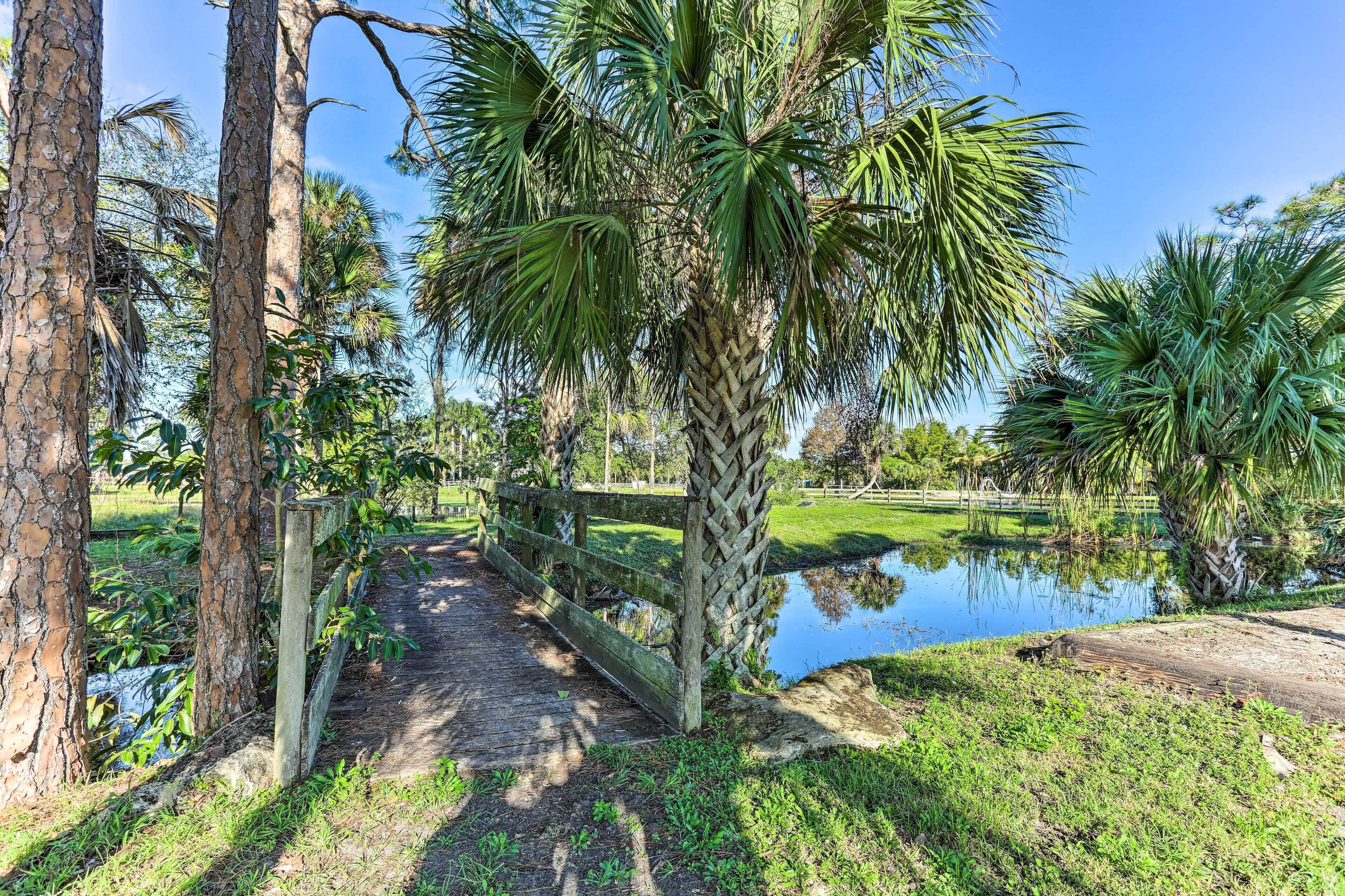 Cottage (0 Bedroom) | Interior