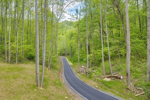 Interior - Furnished Deck & Fire Pit: Serene Marshall Cabin! (Marshall)