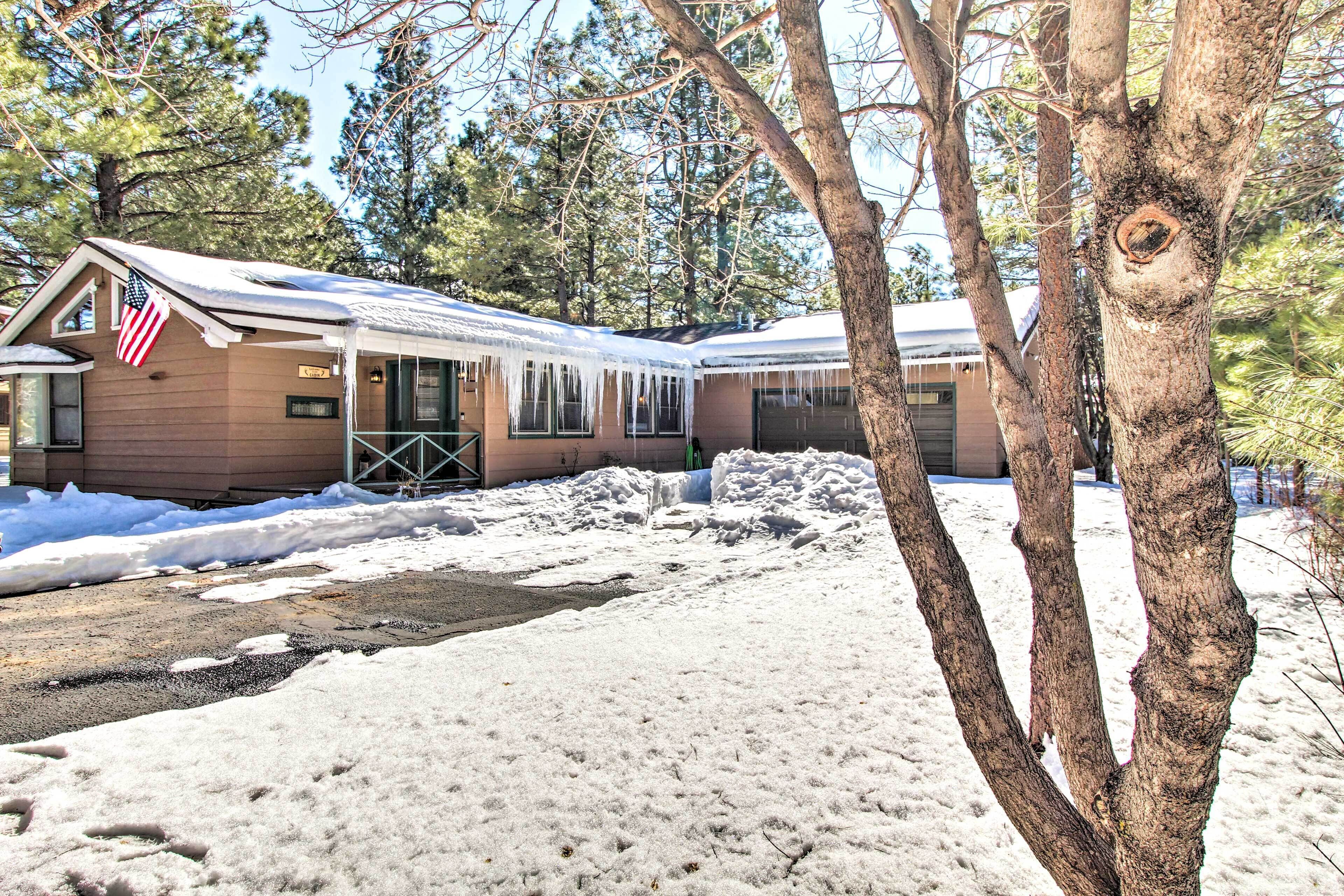 Une cabane dont le toit est recouvert de neige, entourée d’arbres et sous un ciel dégagé.