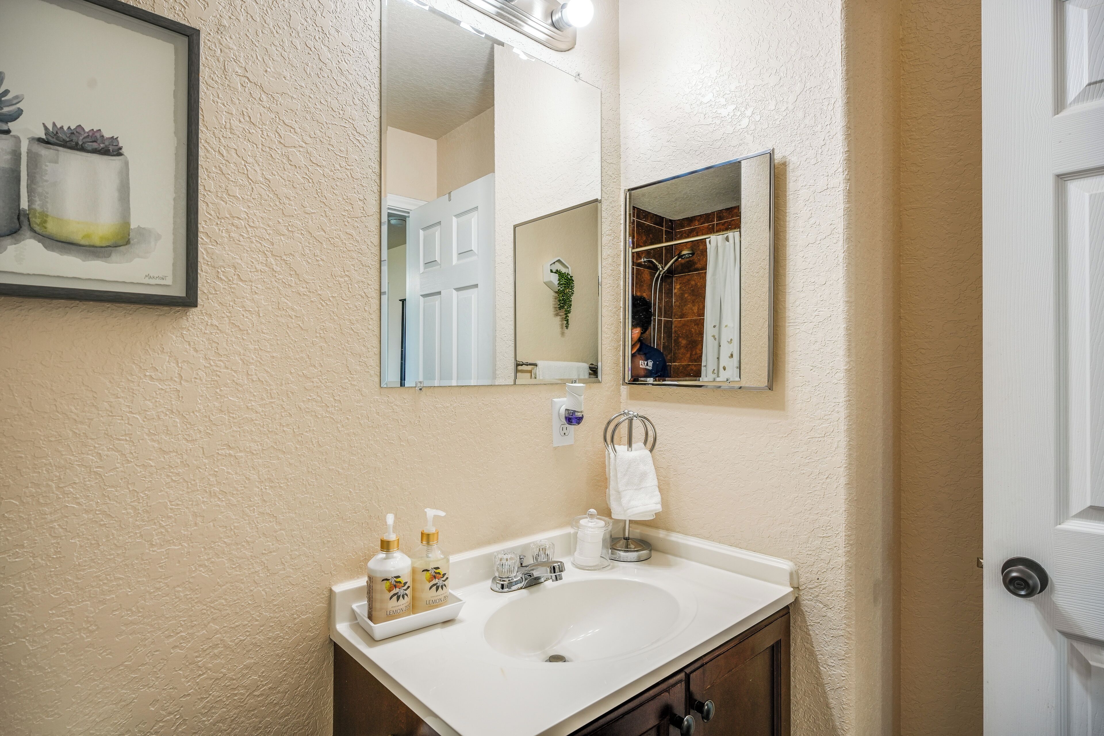 A bathroom with a white sink, a mirror, and a framed artwork above it.