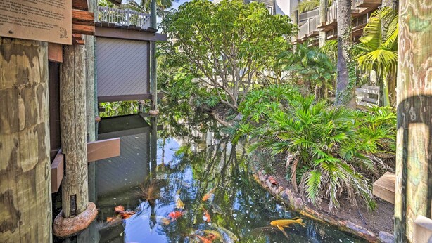 A koi pond surrounded by lush greenery and wooden structures. - 'deja Blue' Oceanside Condo on Beach w/ Pools! (Oceanside)