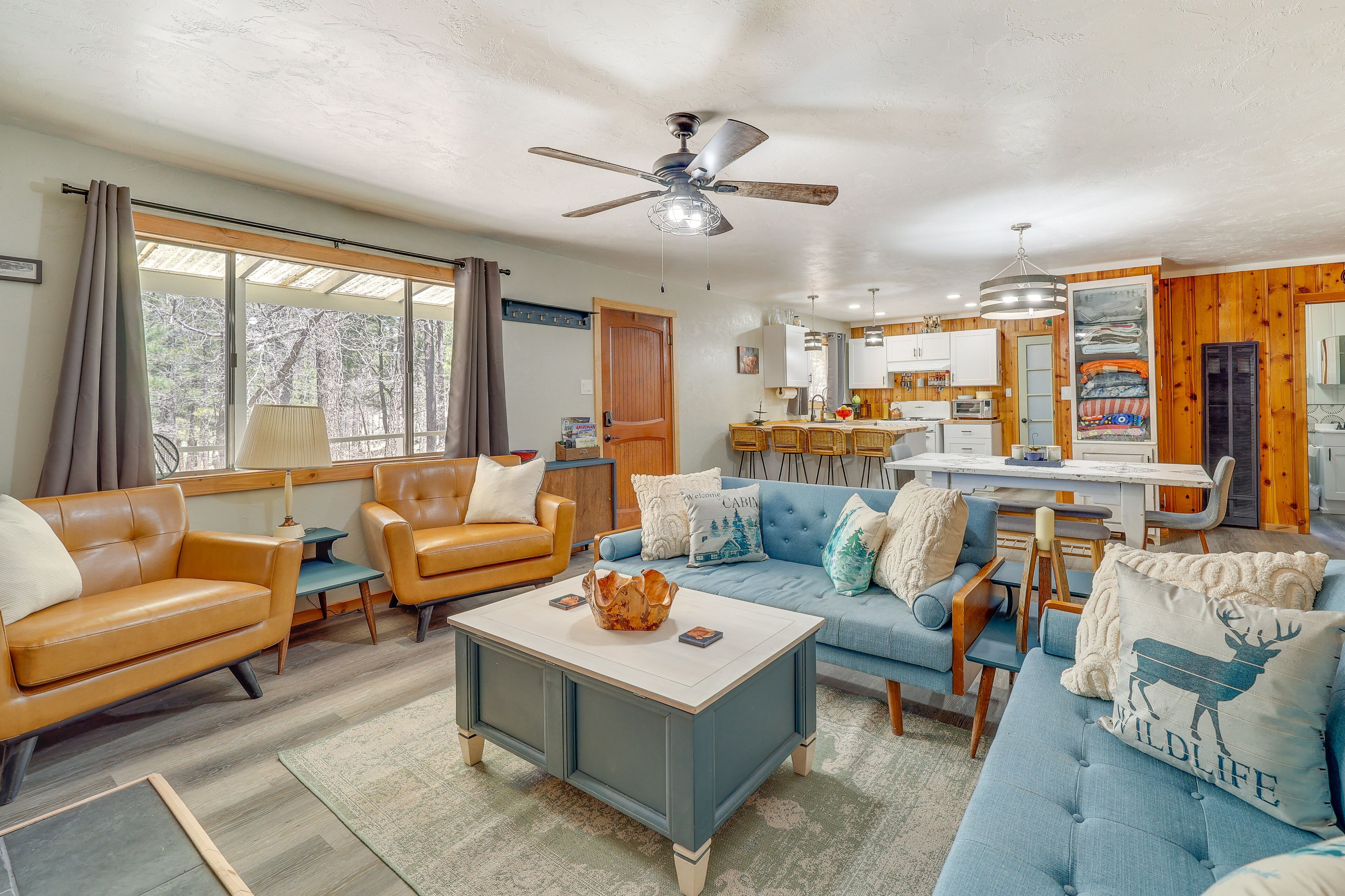 TV, perapian, dan buku