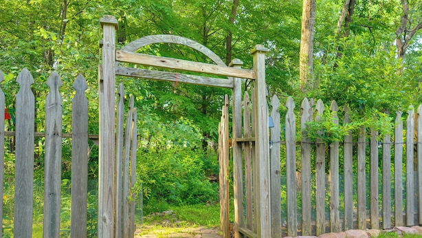 Een houten poort met een gebogen bovenkant, omringd door een schutting, die leidt naar een bebost gebied.