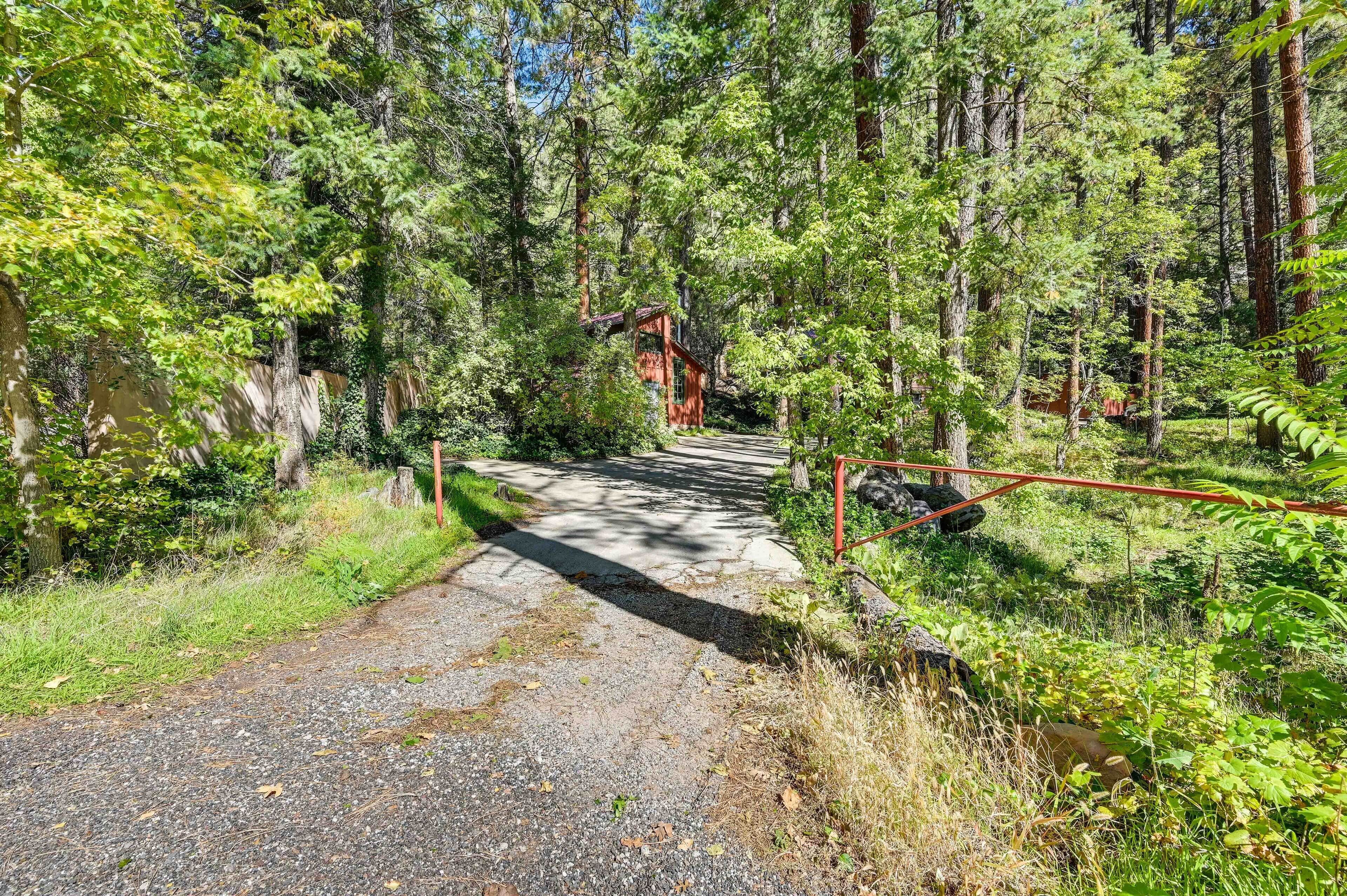 Une zone boisée avec un sentier de gravier menant à un chalet en bois.