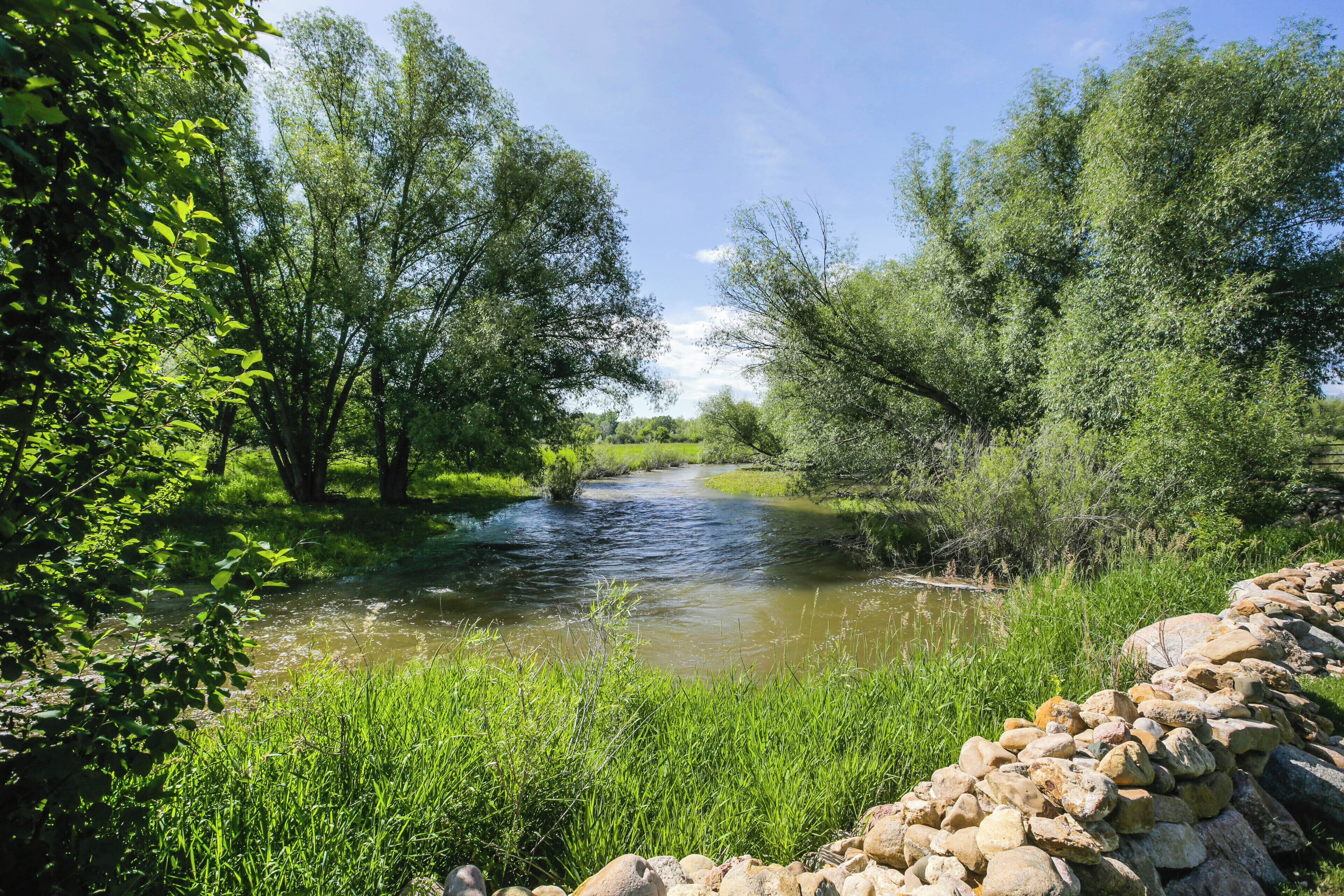 A river flowing through a natural landscape with trees and a stone wall.