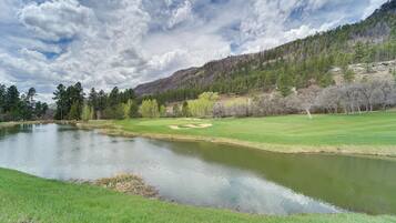 アパートメント (0 Bedroom) | 内装