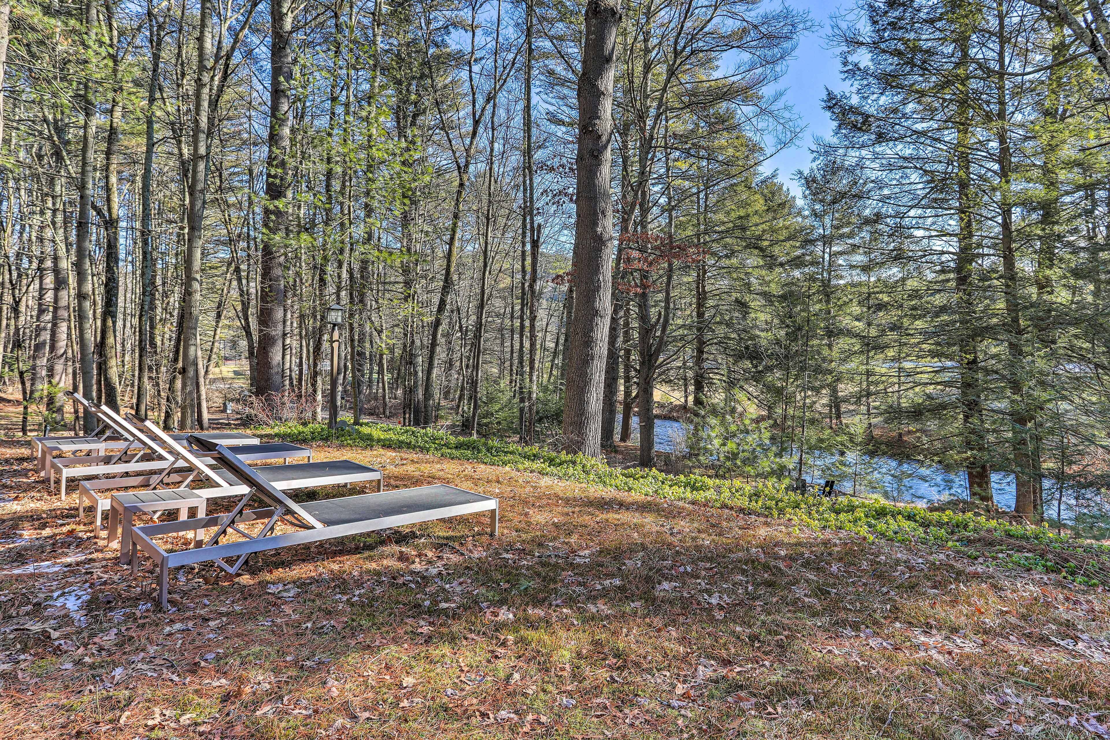 A forested area with several wooden benches aligned along a path.