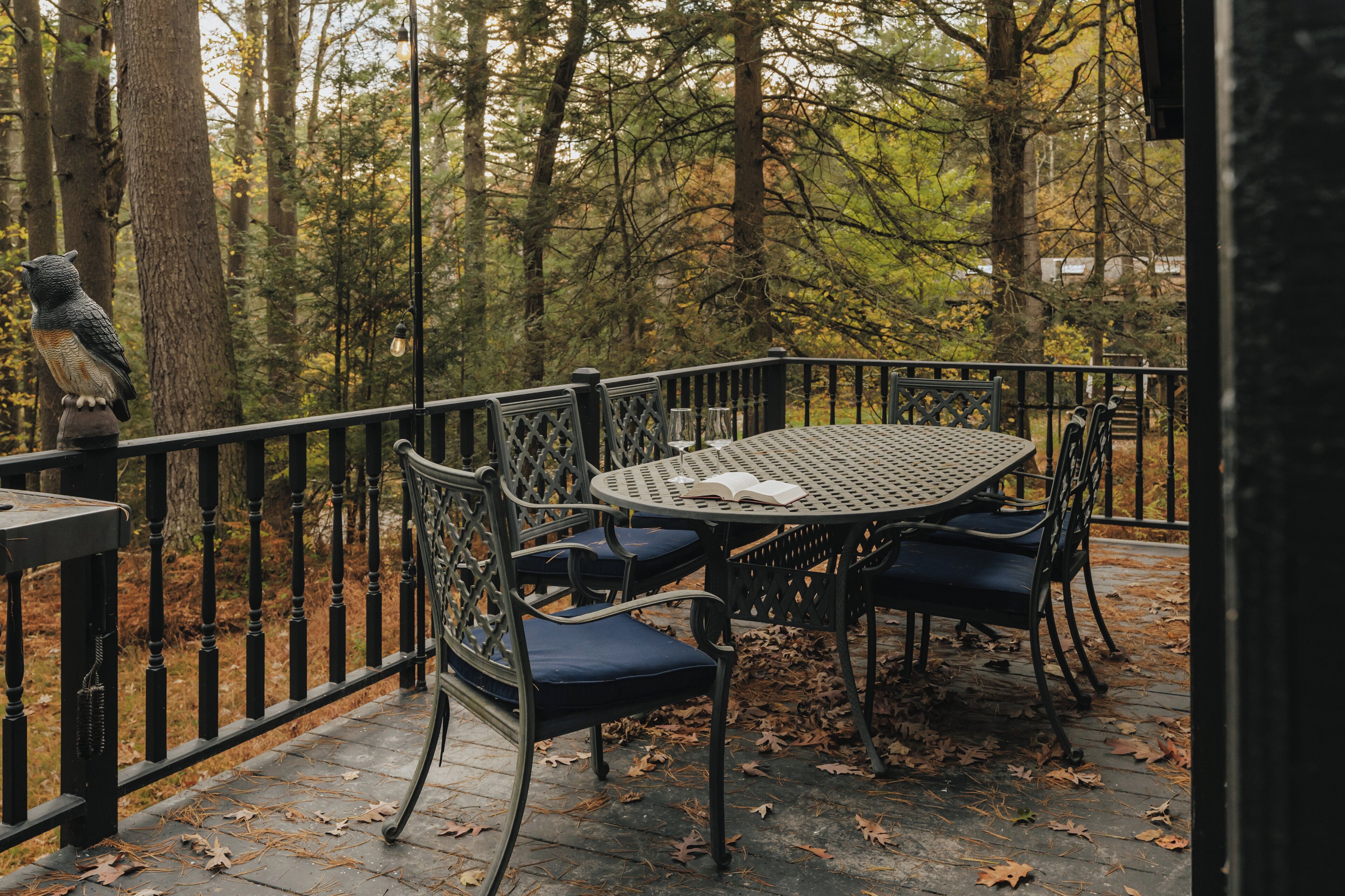 An outdoor patio with a round table and chairs, surrounded by a metal railing, set in a wooded area.