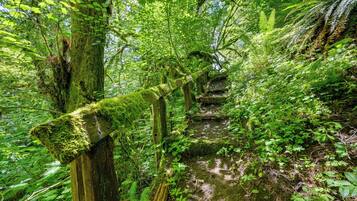 ์ํํธ (2 Bedrooms) | ๋ด๋ถ