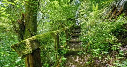 Chehalis Retreat w/ Scenic Views!